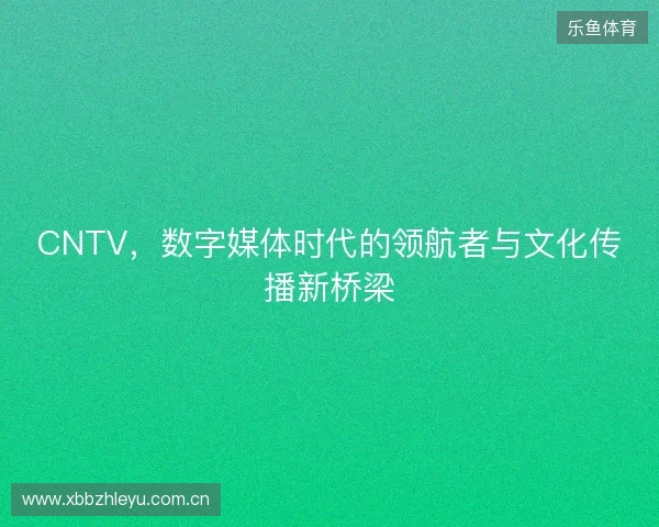 CNTV，数字媒体时代的领航者与文化传播新桥梁